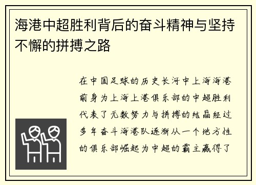 海港中超胜利背后的奋斗精神与坚持不懈的拼搏之路