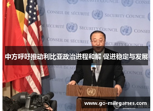 中方呼吁推动利比亚政治进程和解 促进稳定与发展