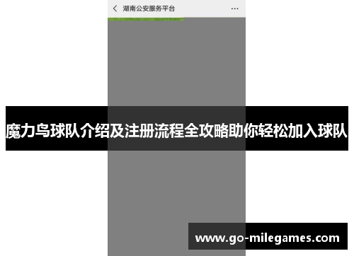 魔力鸟球队介绍及注册流程全攻略助你轻松加入球队