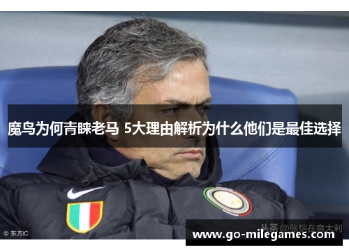 魔鸟为何青睐老马 5大理由解析为什么他们是最佳选择