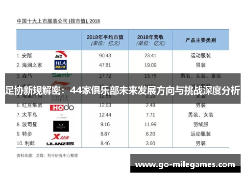 足协新规解密:44家俱乐部未来发展方向与挑战深度分析 足协新规解密:44家俱乐部未来发展方向与挑战深度分析